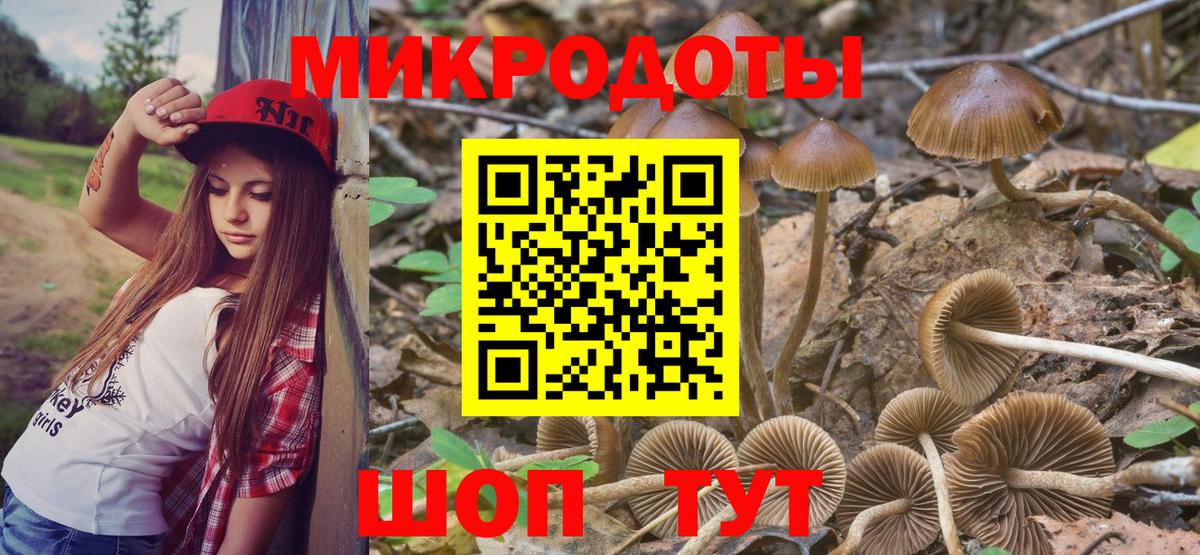 Псилоцибиновые грибы Cubensis Сыктывкар